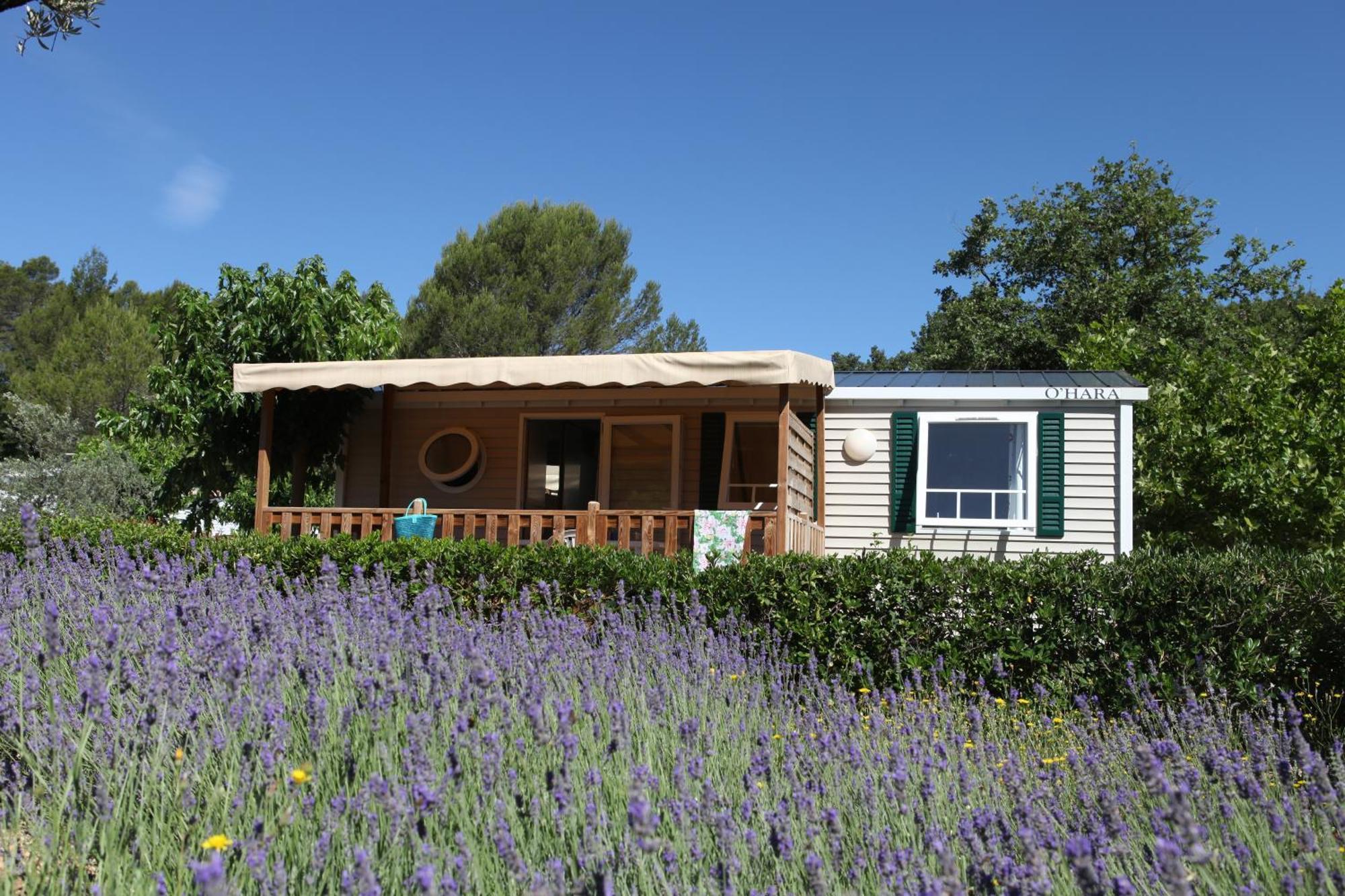 Camping Domaine Villa Verde Callas Dış mekan fotoğraf
